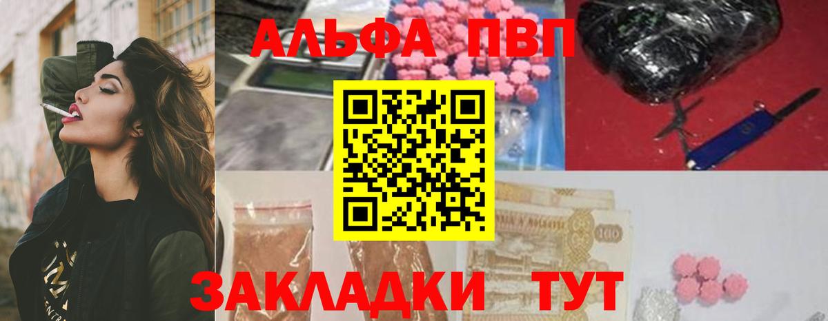 Альфа ПВП СК Новоалександровск