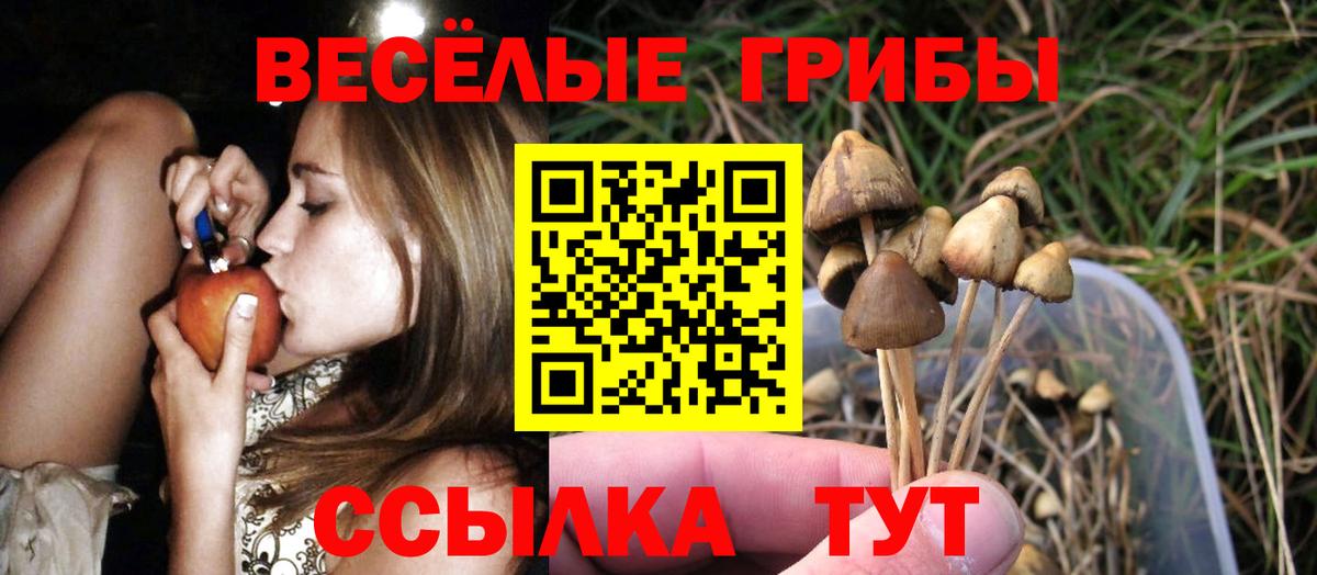 Псилоцибиновые грибы ЛСД Новоалександровск