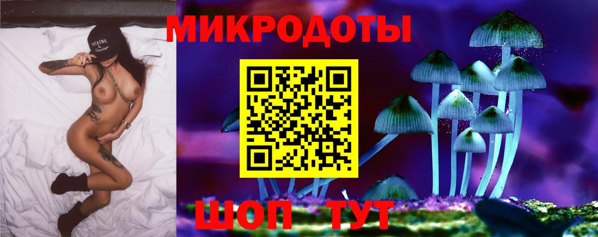 Псилоцибиновые грибы мицелий  Вход с VPN  Новоалександровск  Псилоцибиновые грибы прущие грибы 